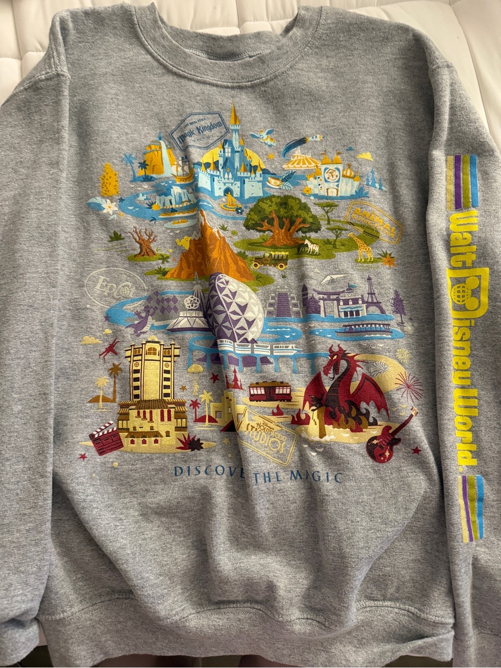 Disney Gray Crewneck Sweatshirt with Multicolor Park Graphic